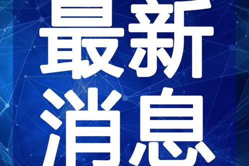 郑州王琳最新爆料视频曝光,揭秘惊人内幕！